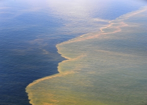 Sheen from Oil Spill